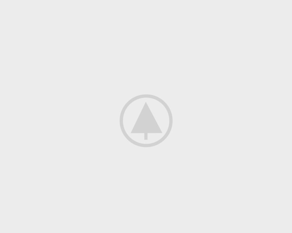 wood-gallery-placeholder-3